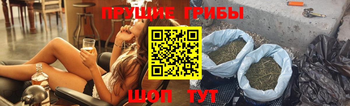 Галлюциногенные грибы Cubensis  Вход с VPN  Псилоцибиновые грибы GOLDEN TEACHER  Ярославль 